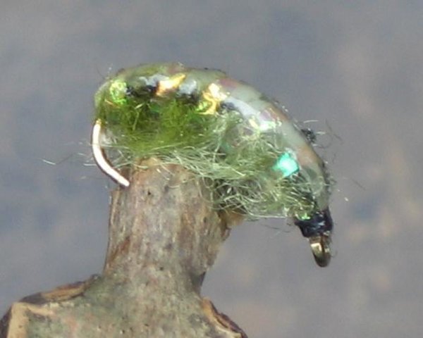 Green Pea Nymphe