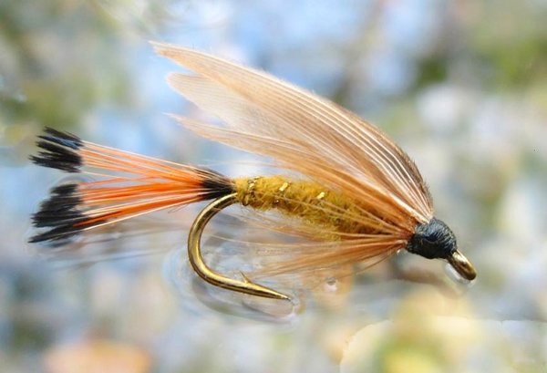 Woodcock & Yellow Nassfliegen