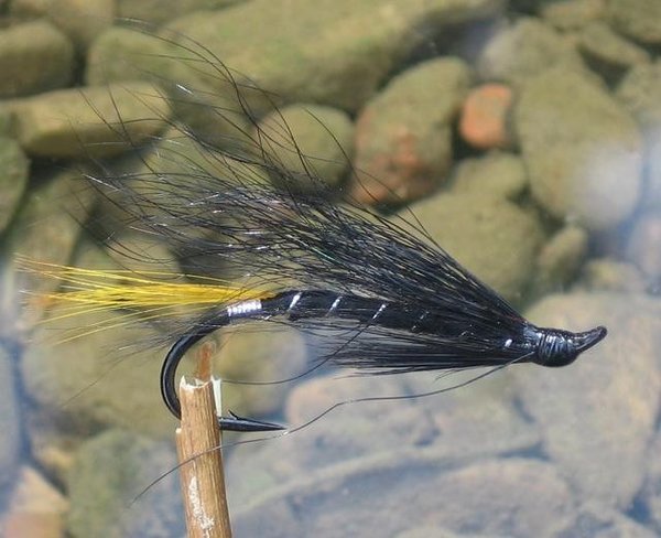Hairwing Stoat's Tail Lachsfliegen